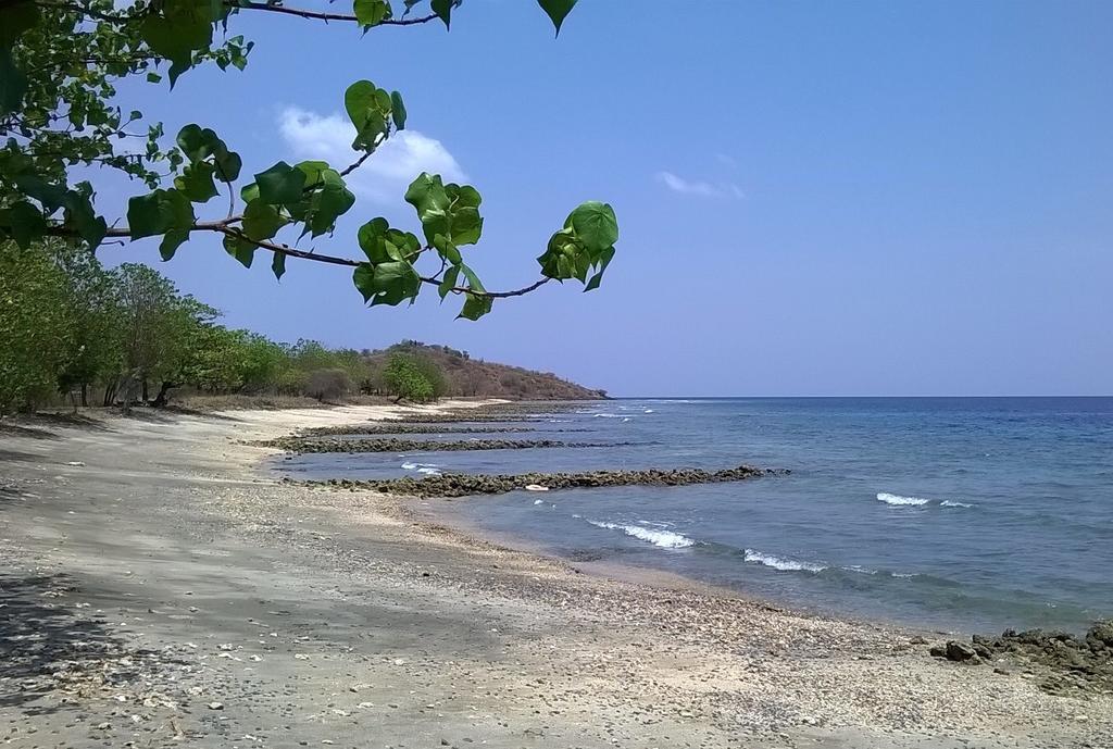 Taman Dewi Sri Villa Et Bungalow بيموتيران المظهر الخارجي الصورة
