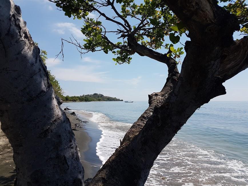 Taman Dewi Sri Villa Et Bungalow بيموتيران المظهر الخارجي الصورة